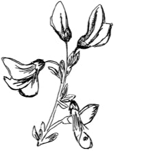 //world.davines.com/cdn/shop/t/6/assets/davines-line-finest-pigment-deco-1.jpg?v=31471944834081645081562346605