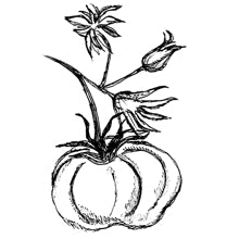 //world.davines.com/cdn/shop/t/6/assets/davines-line-finest-pigment-deco-2.jpg?v=79889010406983862501562346564