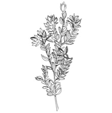 //world.davines.com/cdn/shop/t/6/assets/davines-line-finest-pigment-deco-4.jpg?v=26652696539408005481562346559