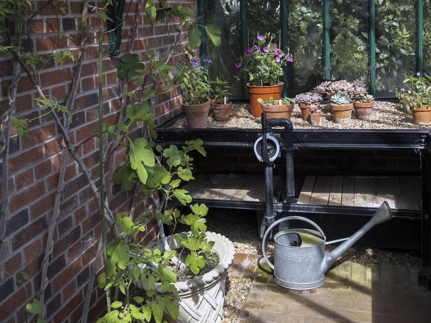 3 green lifestyle advices for summer