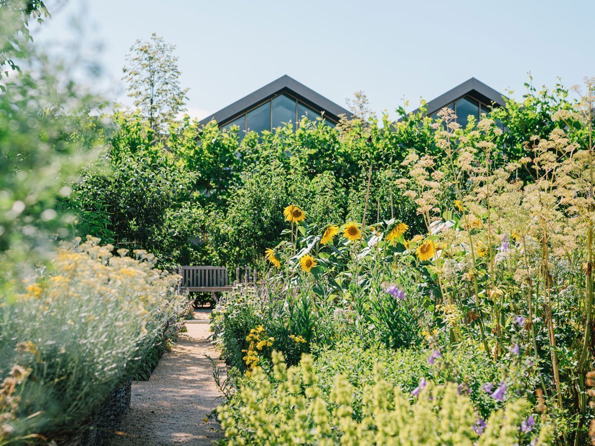 Our path towards sustainability: goals and results 2019/20