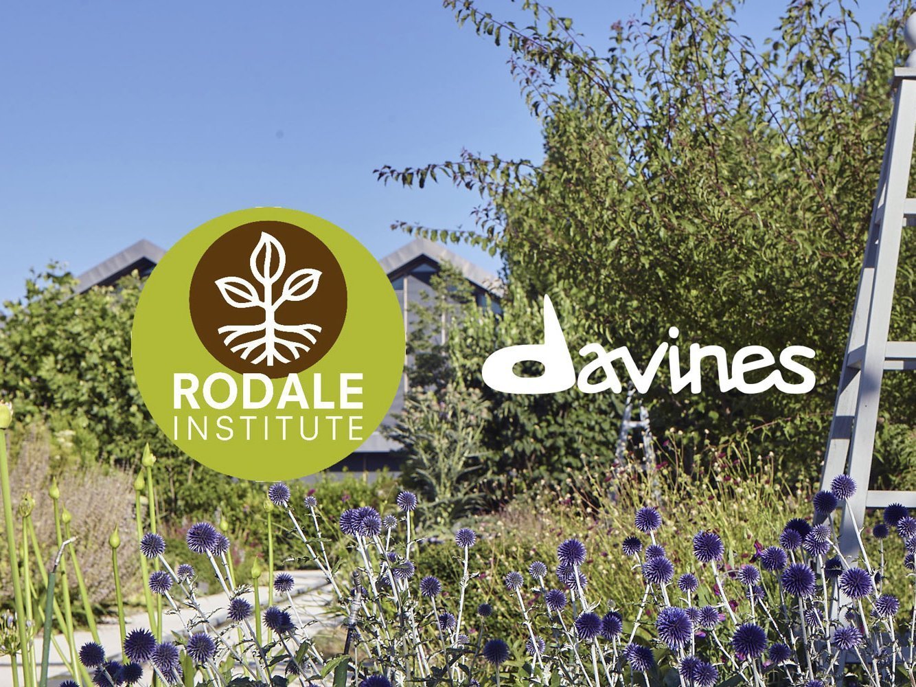 Regenerative agriculture: exploring the next frontier of sustainability