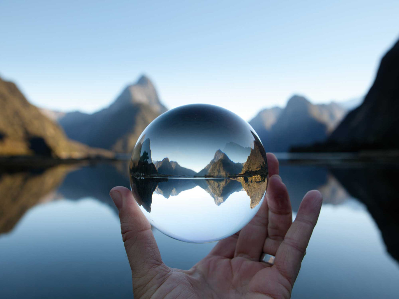 12 good green resolutions for 2022: from Davines, with love