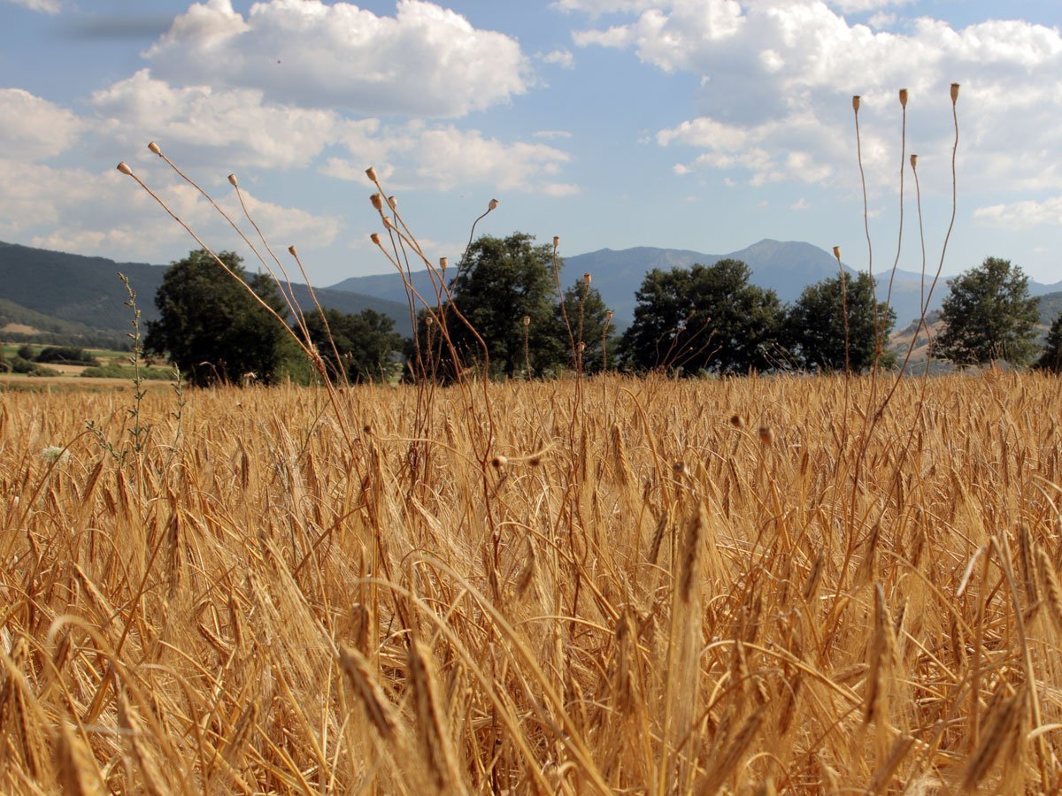 Take a trip to Italy, with Essential Haircare