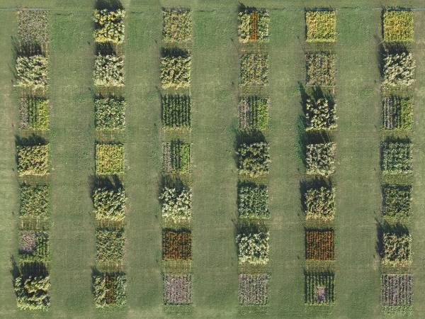 What is Regenerative Agriculture?