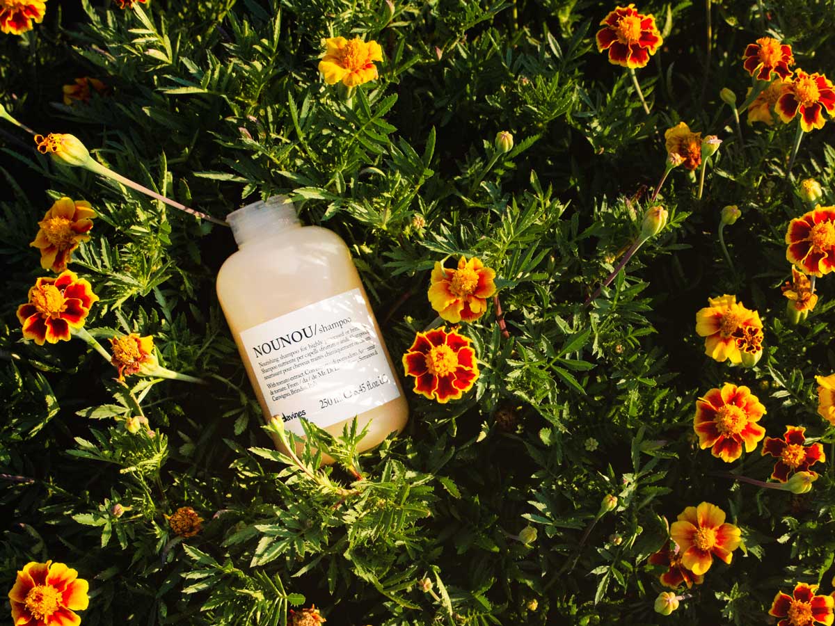 Spring Hair Care Guide