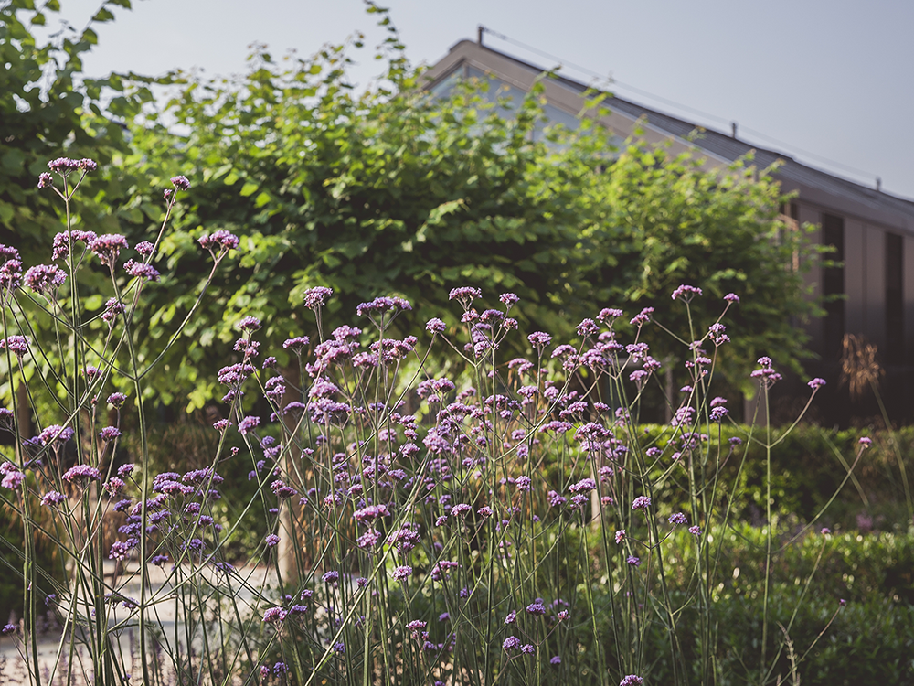 Davines becomes a Benefit Corporation!