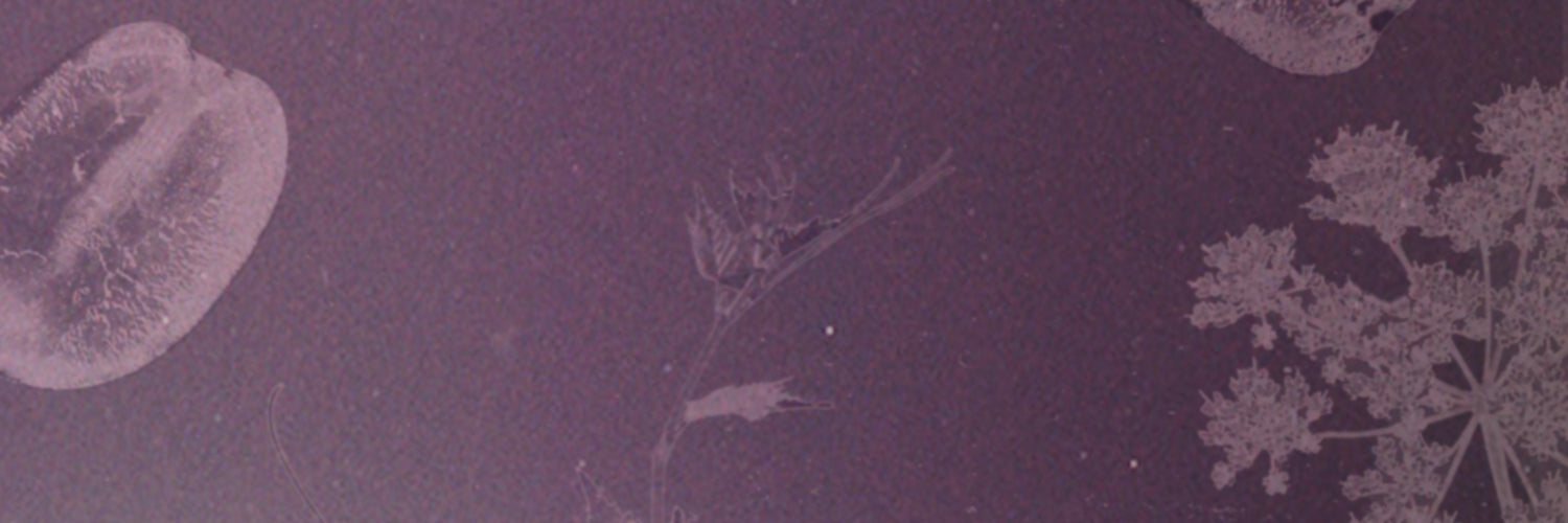 Biodiversity and regeneration