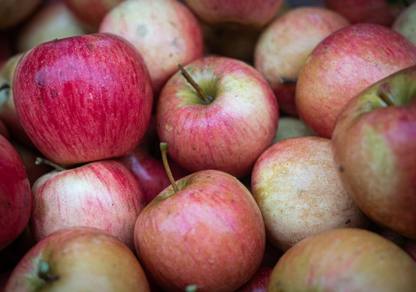 Apple pulp