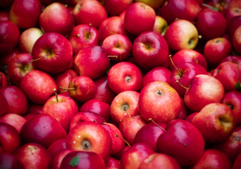 Apple pulp