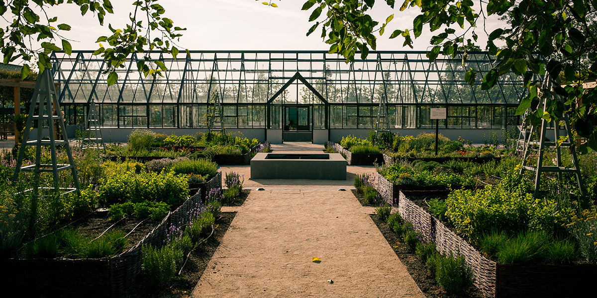 Bilimsel Bahçe (Orto Botanico) — geniş fotoğraf 4/4