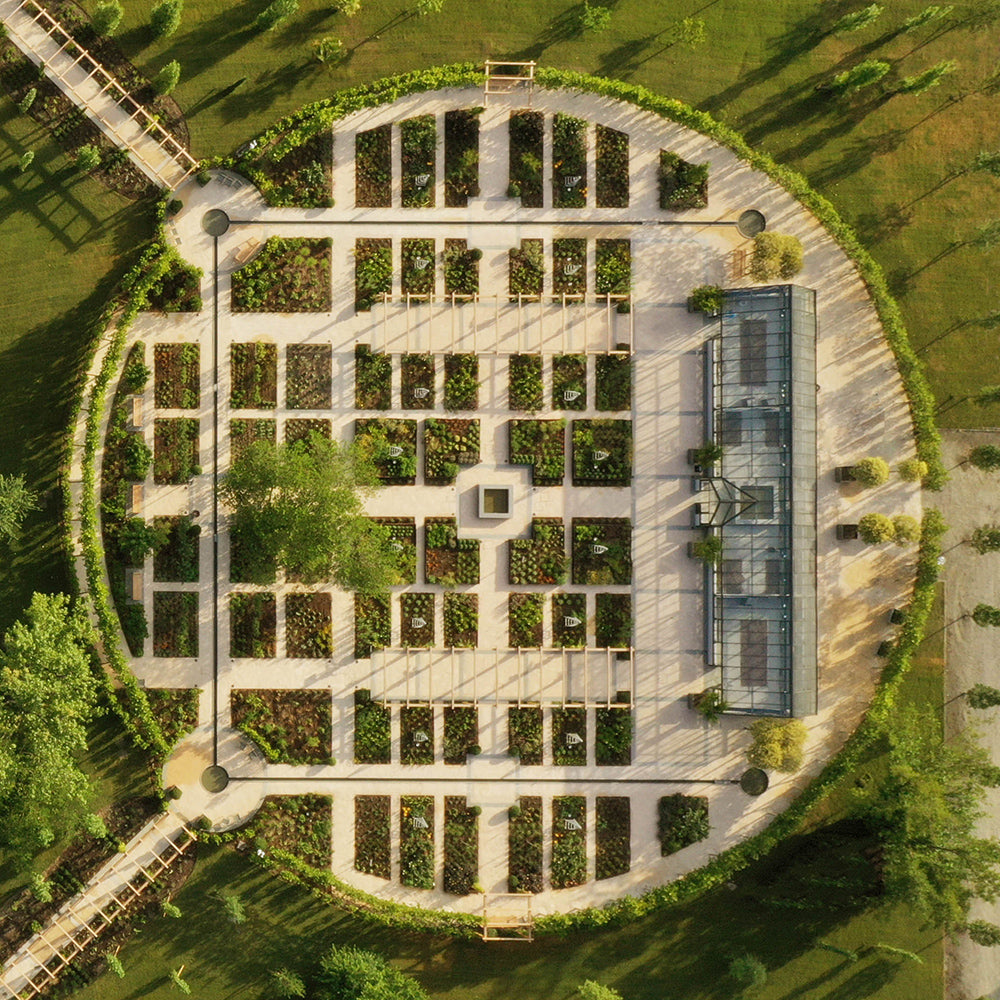 Bilimsel Bahçe (Orto Botanico) — kare fotoğraf 1/4