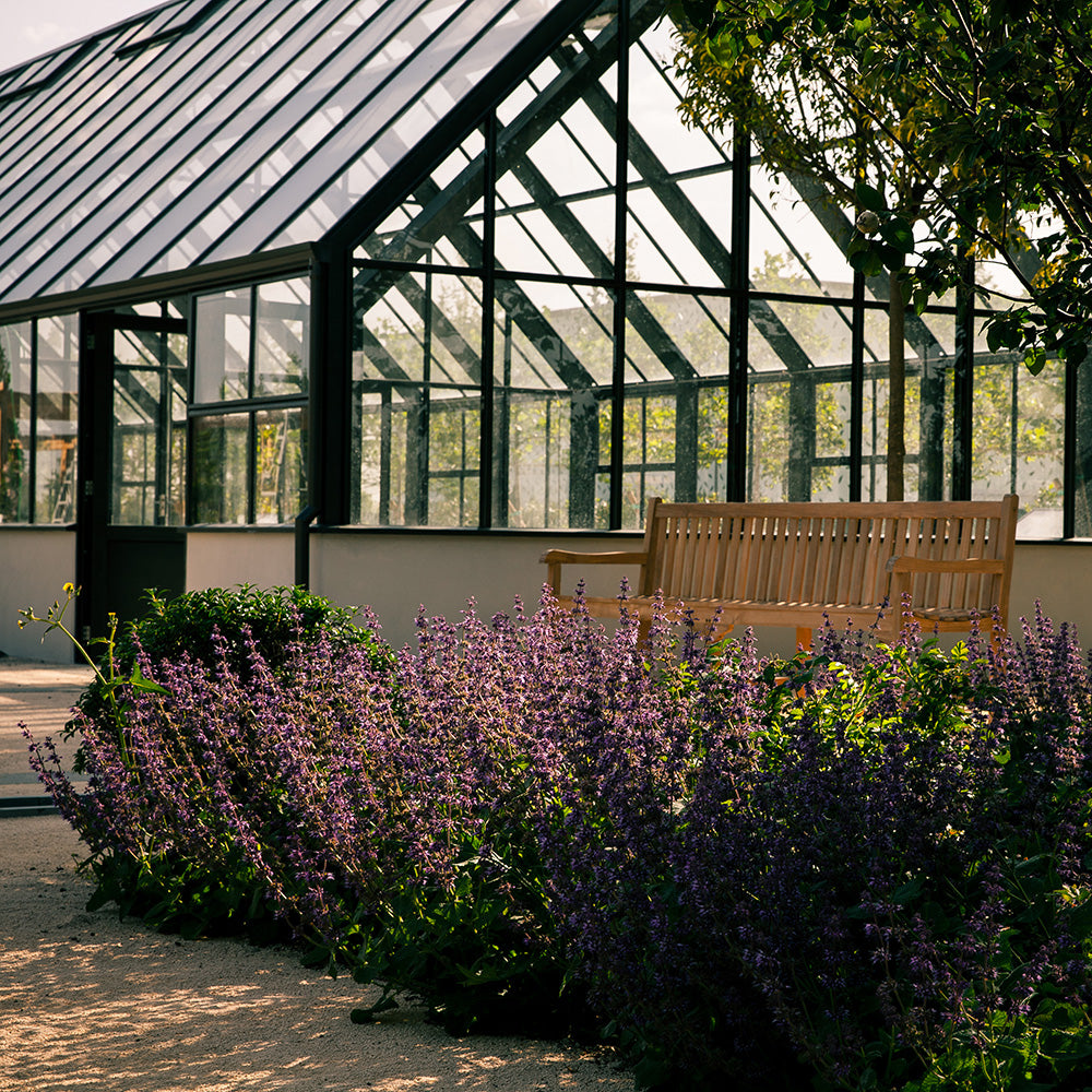 Bilimsel Bahçe (Orto Botanico) — kare fotoğraf 3/4